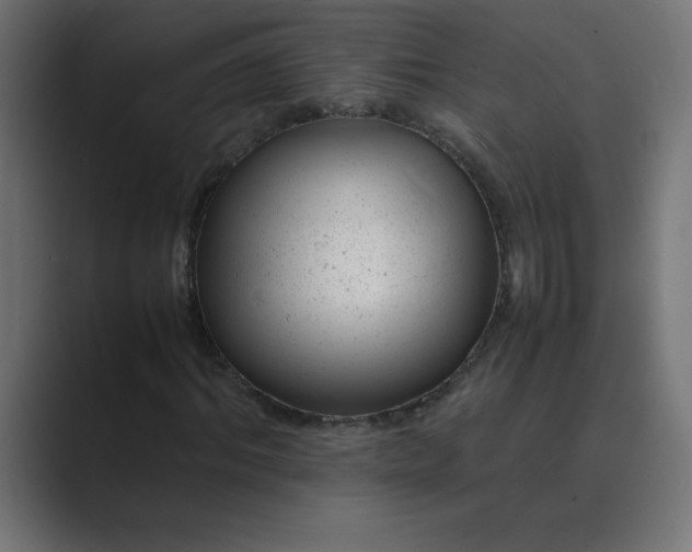 X0000089450964200706291440