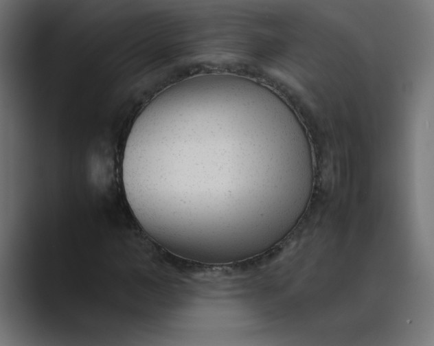 X0000089450966200706291440