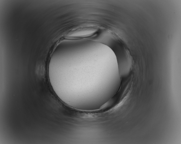 X0000089450969200706291440