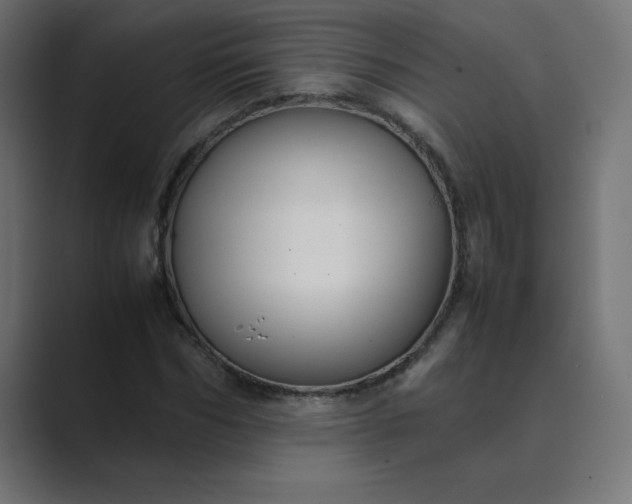 X0000089450970200706291440