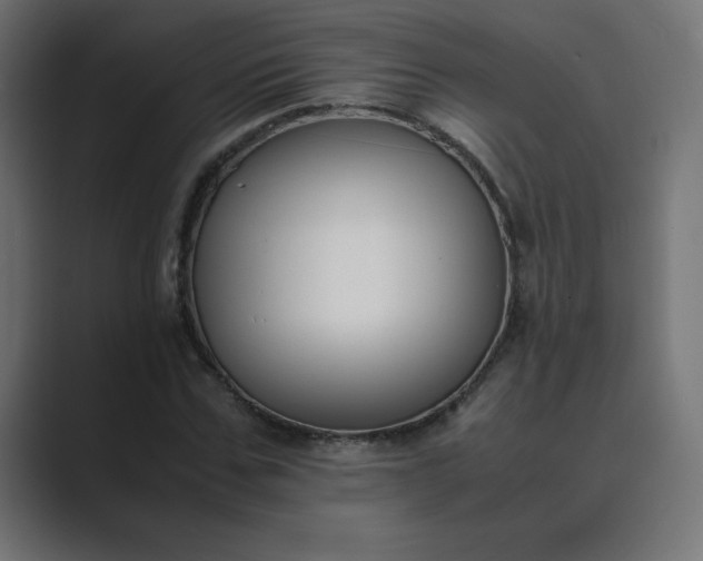 X0000089450971200706291440