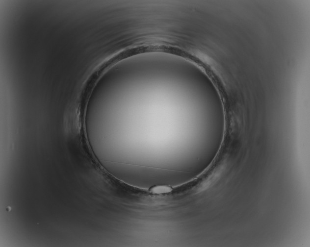 X0000089450973200706291440