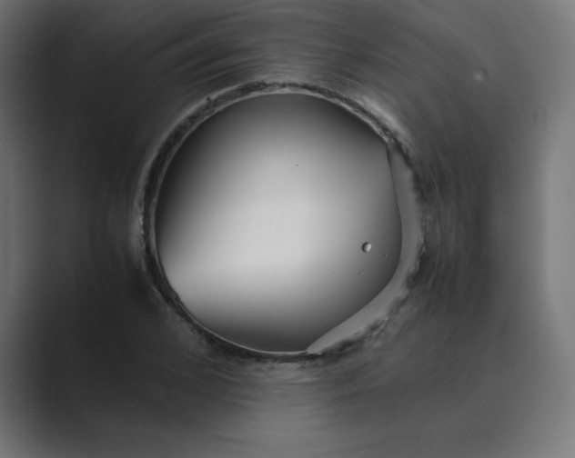 X0000089450976200706291440