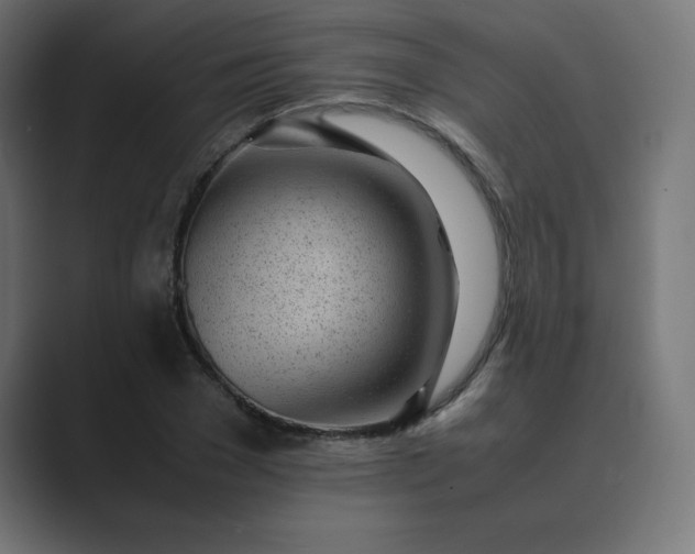 X0000089450977200706291440