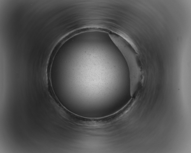 X0000089450980200706291440