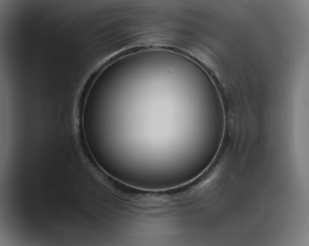 X0000089450981200706291440