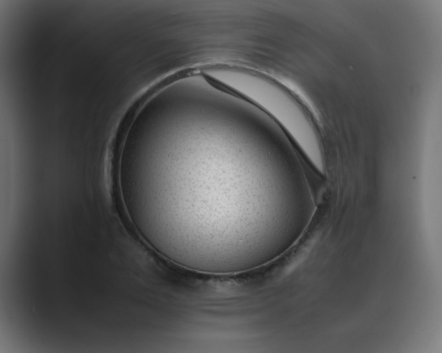 X0000089450983200706291440