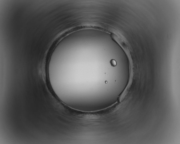 X0000089450984200706291440