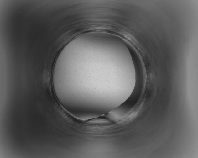 X0000089450985200706291440