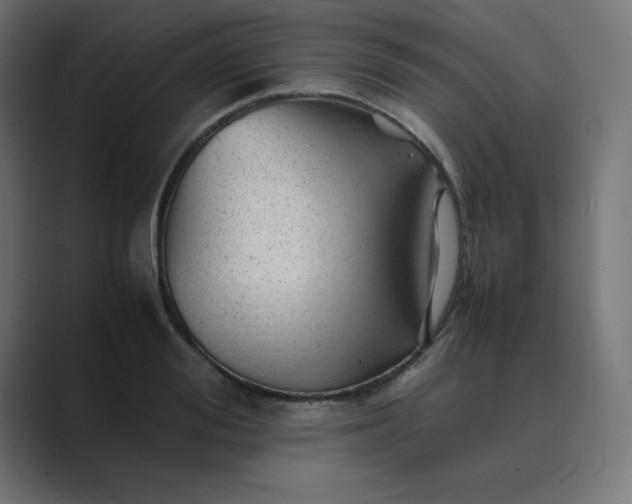 X0000089450988200706291440