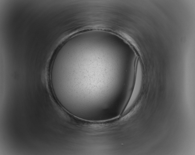 X0000089450989200706291440
