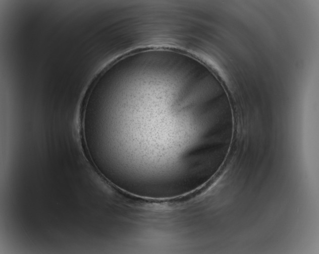 X0000089450990200706291440