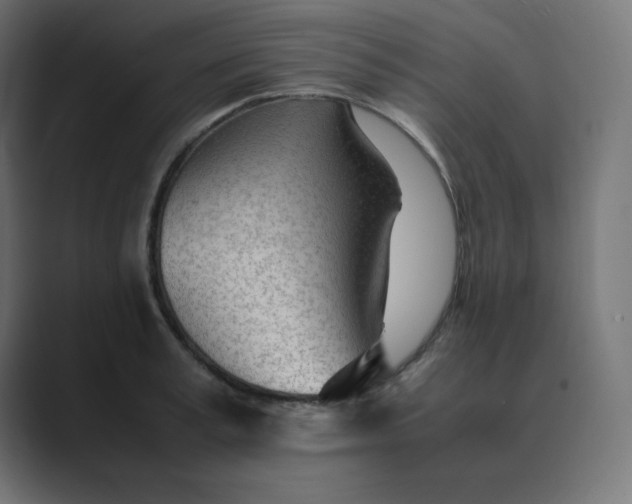 X0000089450995200706291440