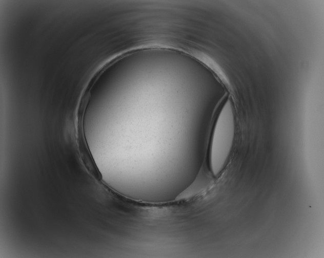 X0000089450996200706291440