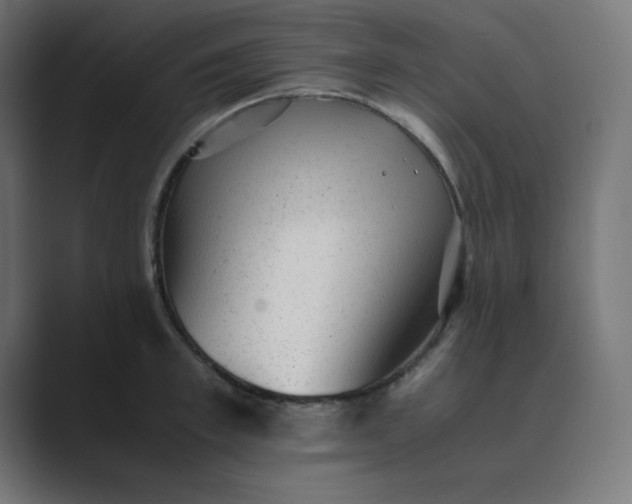 X0000089450997200706291440