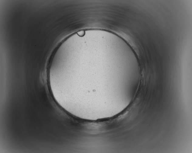 X0000089450998200706291440