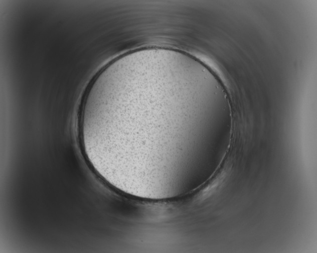 X0000089450999200706291440