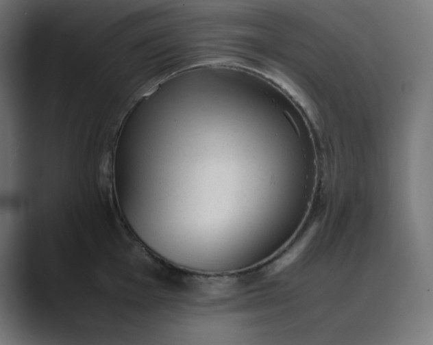 X0000089451001200706291440