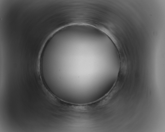 X0000089451004200706291440