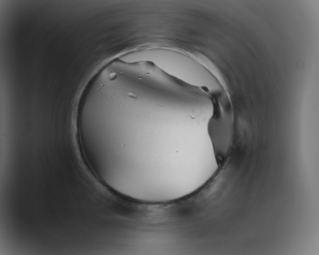 X0000089451005200706291440