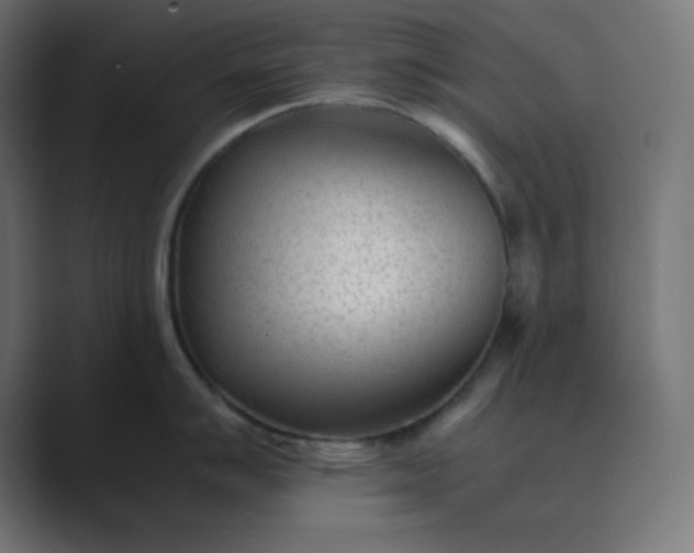 X0000089451007200706291440