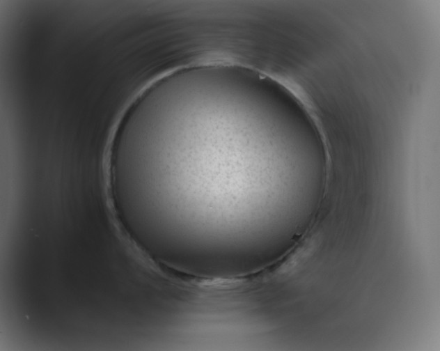 X0000089451008200706291440