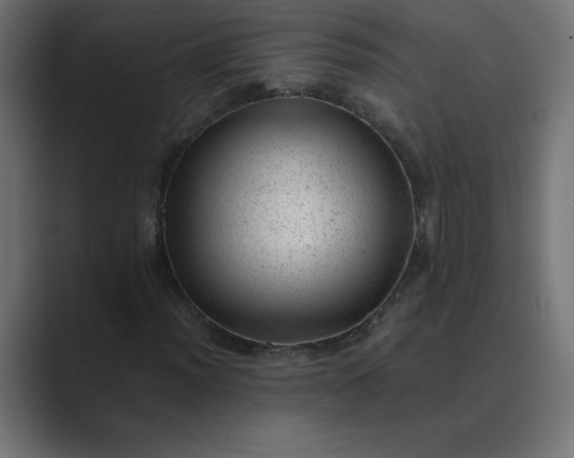 X0000089451012200706291439