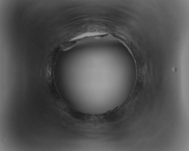 X0000089451013200706291439