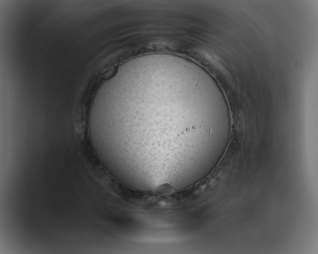 X0000089451015200706291439