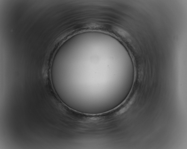 X0000089451017200706291439