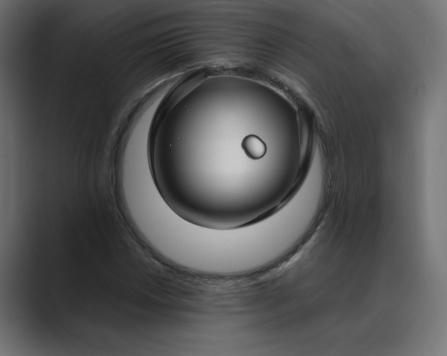 X0000089451018200706291439