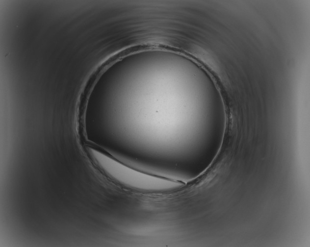 X0000089451020200706291439