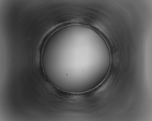 X0000089451021200706291439