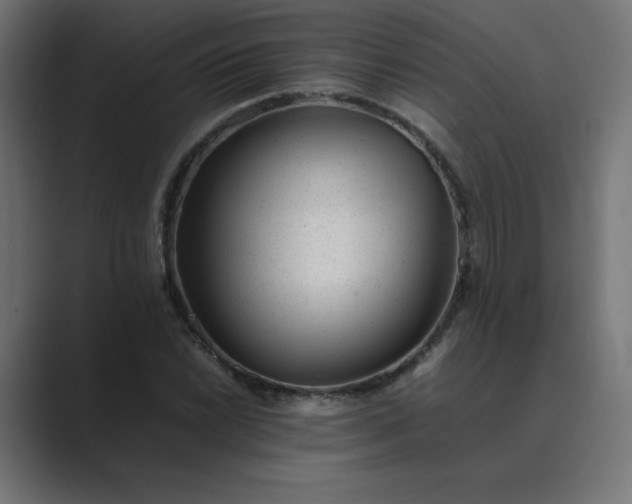 X0000089451022200706291439