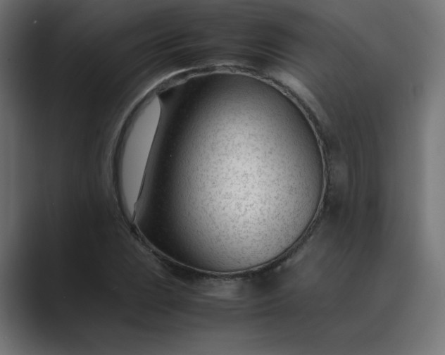 X0000089451023200706291439