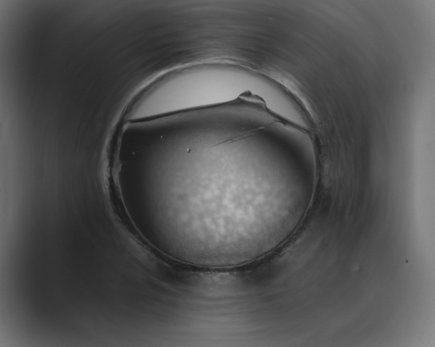 X0000089451024200706291439