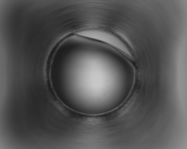X0000089451026200706291439