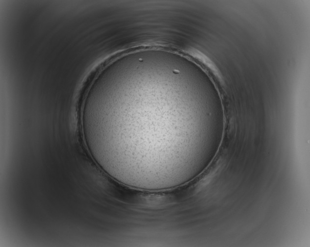 X0000089451027200706291439