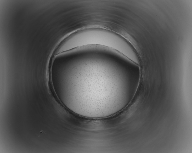 X0000089451028200706291439