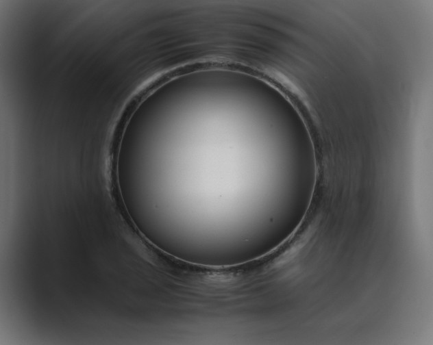 X0000089451029200706291439