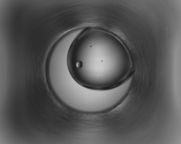 X0000089451030200706291439