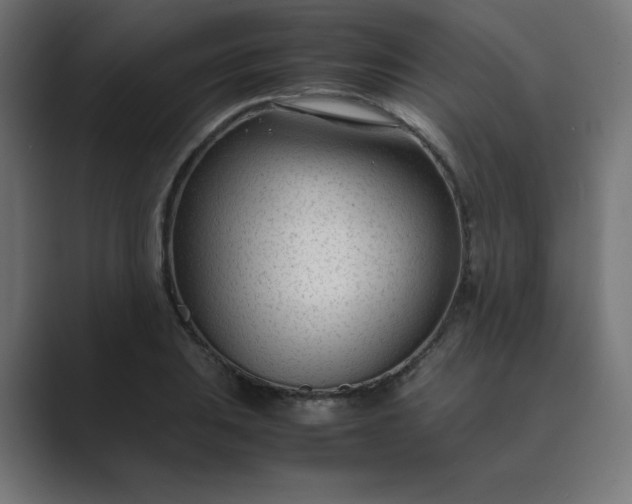 X0000089451031200706291439