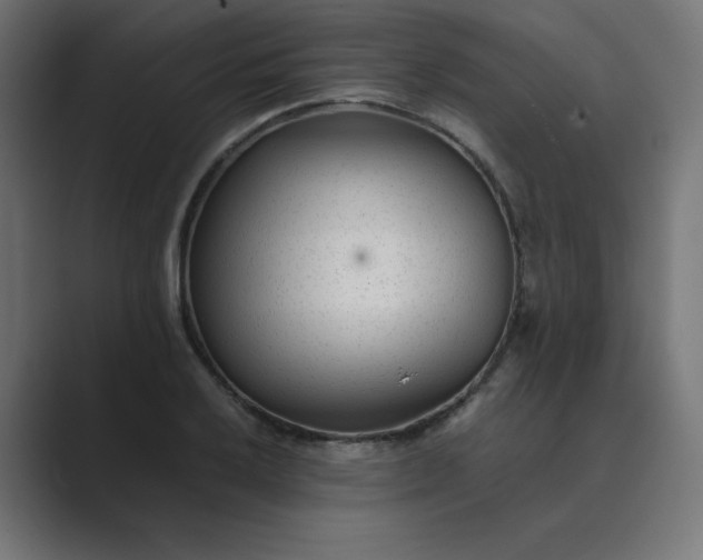 X0000089451032200706291439