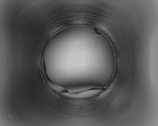 X0000089451033200706291439