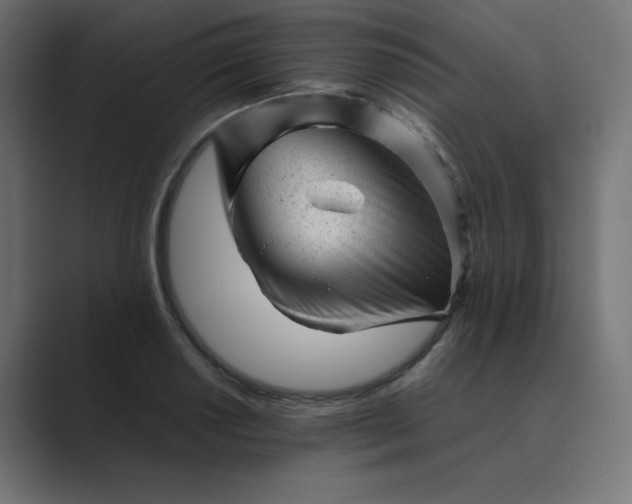 X0000089451034200706291439