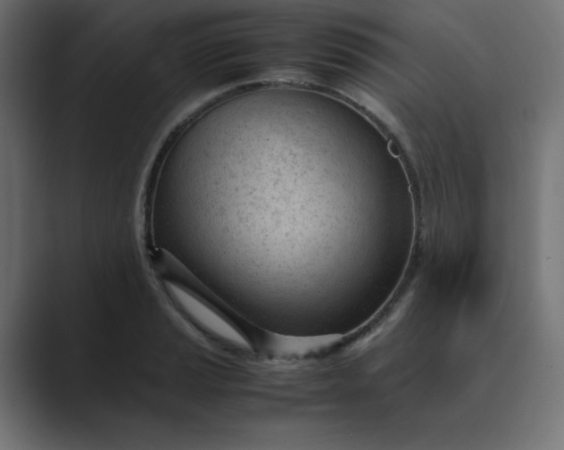 X0000089451037200706291439