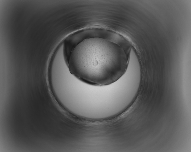 X0000089451038200706291439