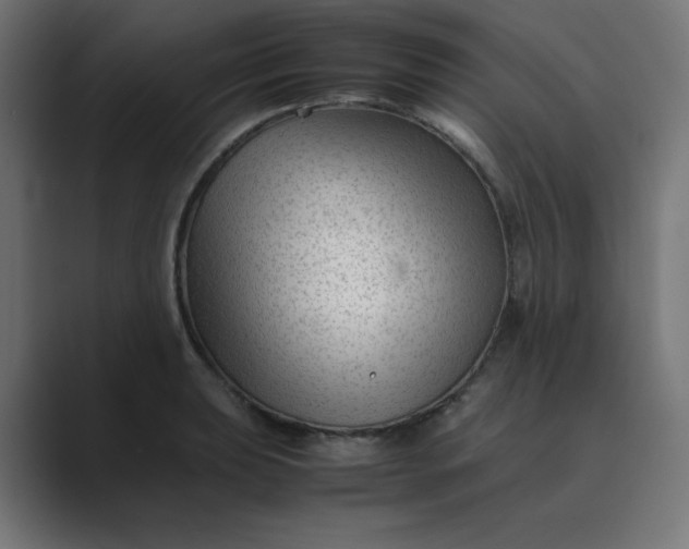 X0000089451039200706291439