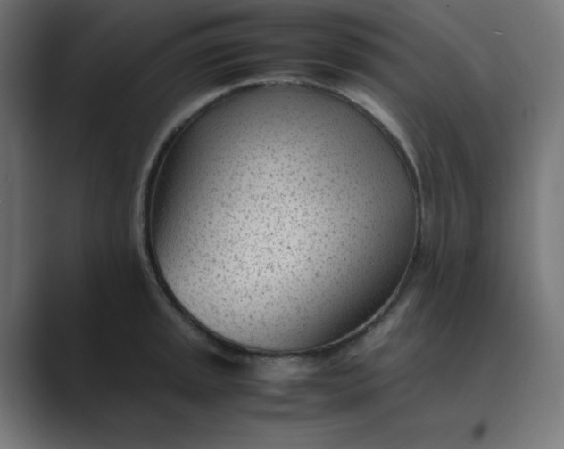 X0000089451045200706291439
