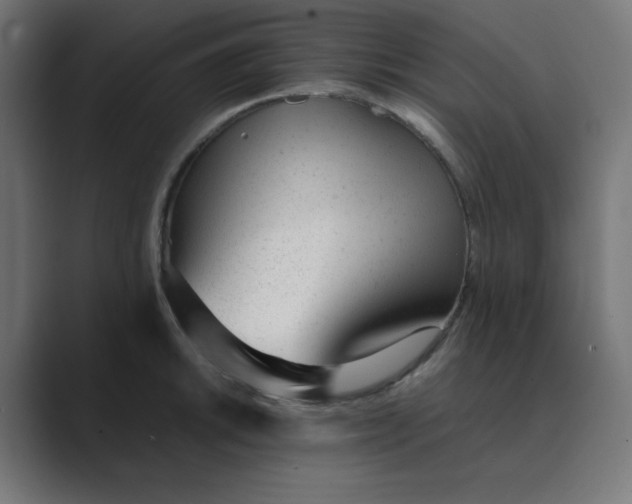 X0000089451046200706291439